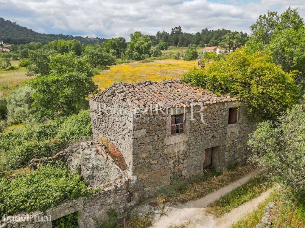 Quintinha com 2 hectares - Grande imagem: 2/14