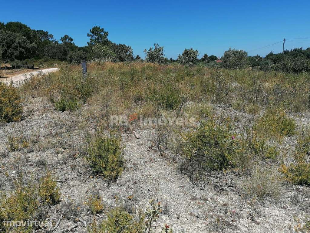 Terreno rústico com 5 hectares - Cem Soldos, Tomar - Grande imagem: 2/7