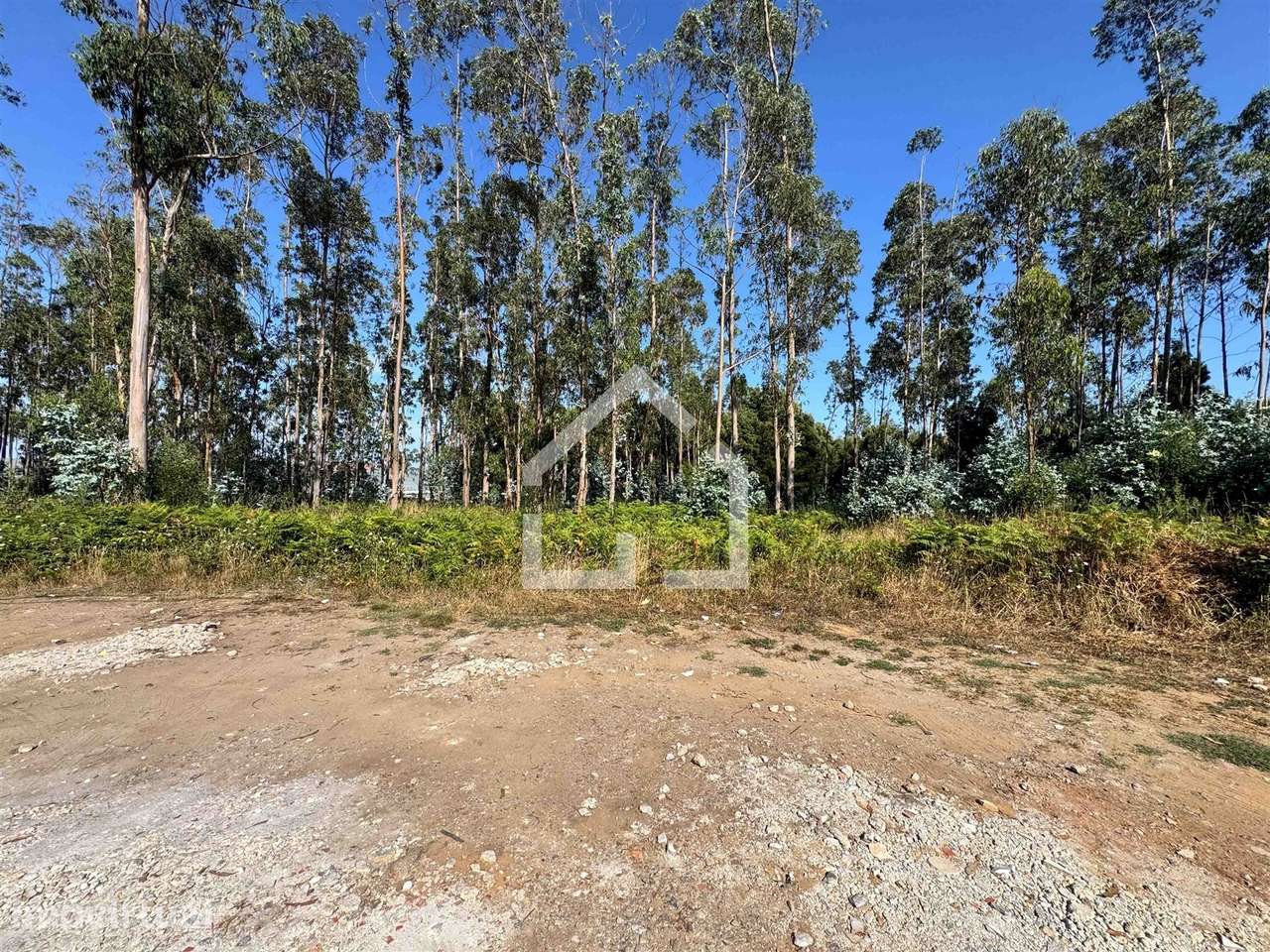 Terreno Construção - Lourosa - Grande imagem: 4/8