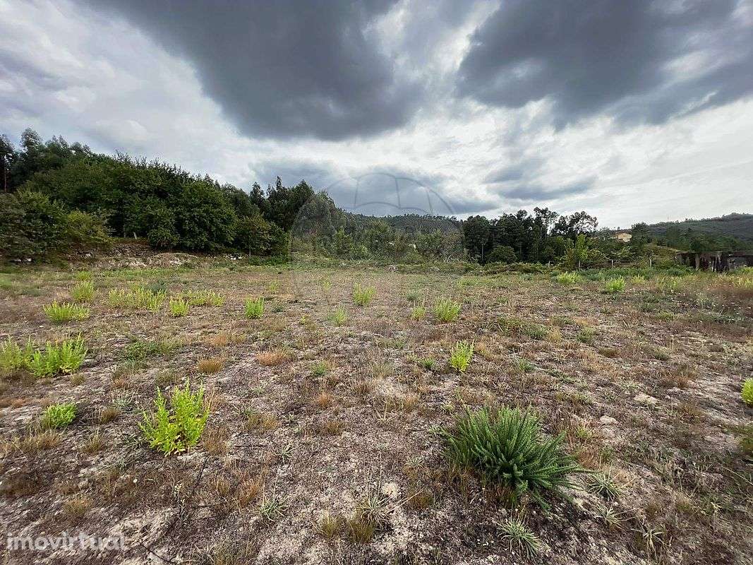 Terreno  para venda - Grande imagem: 5/8