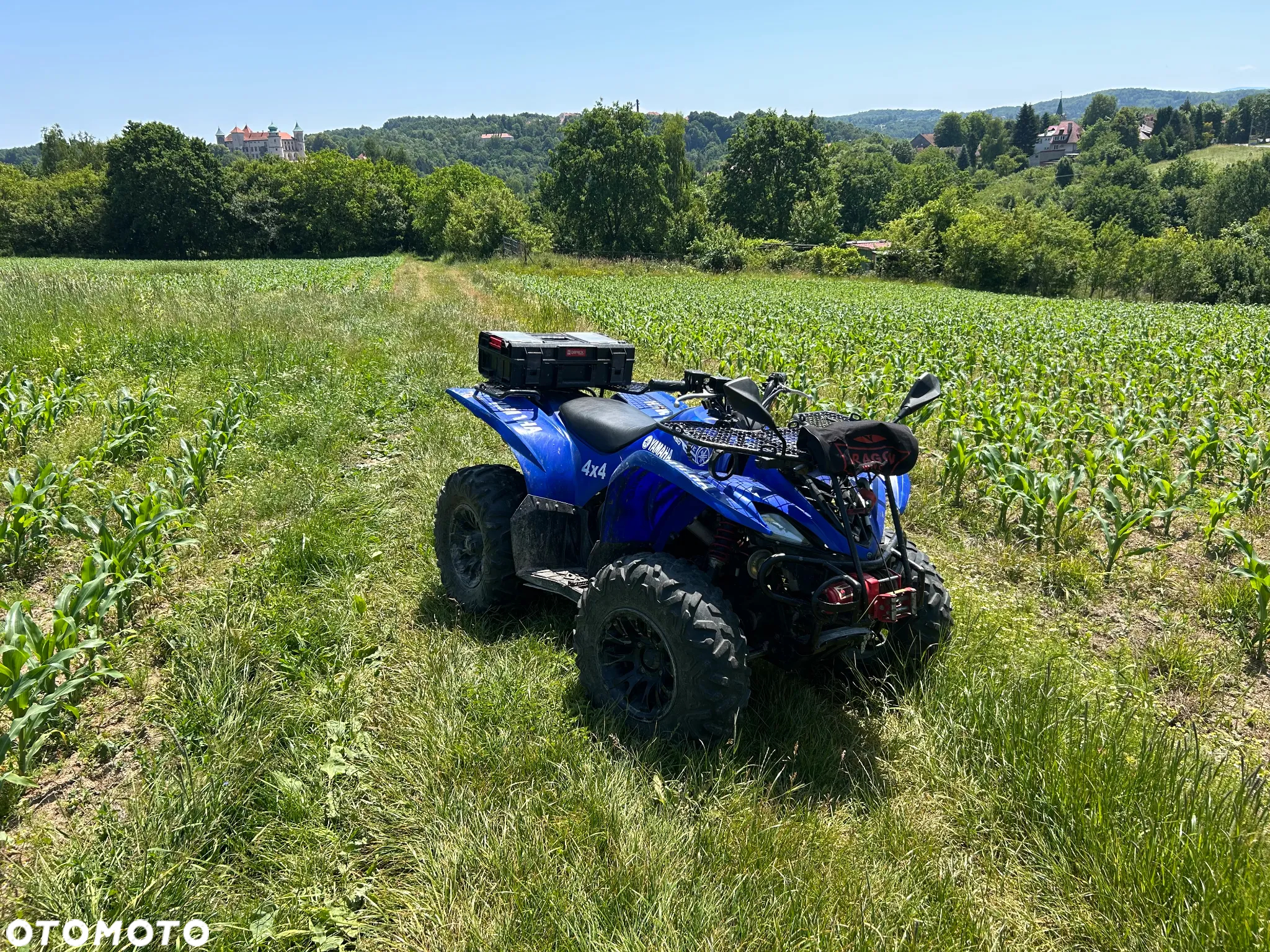 Yamaha Wolverine