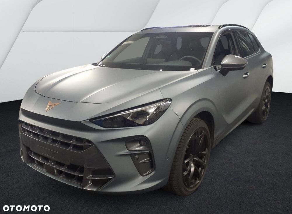 Cupra Terramar - 4