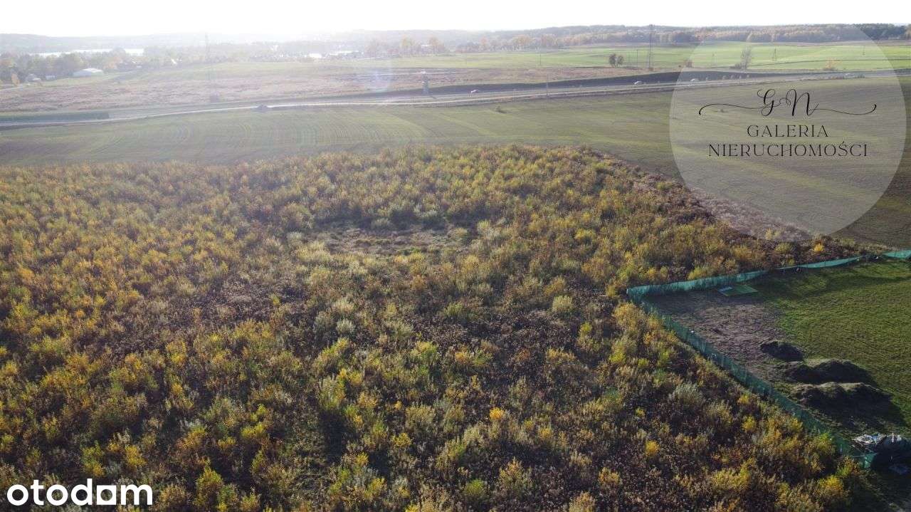 Działka na sprzedaż Tomaszkowo,JezioroWulpińskie - Pełny obrazek: 4/6