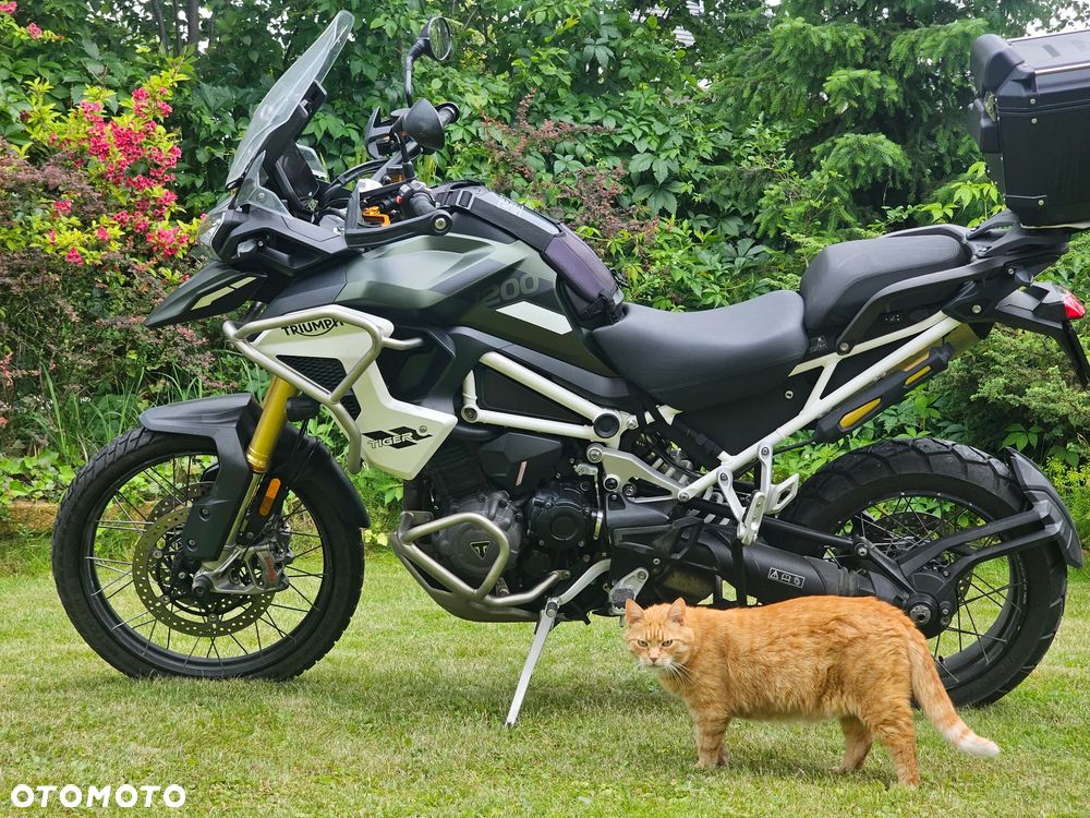 Triumph Tiger - 11
