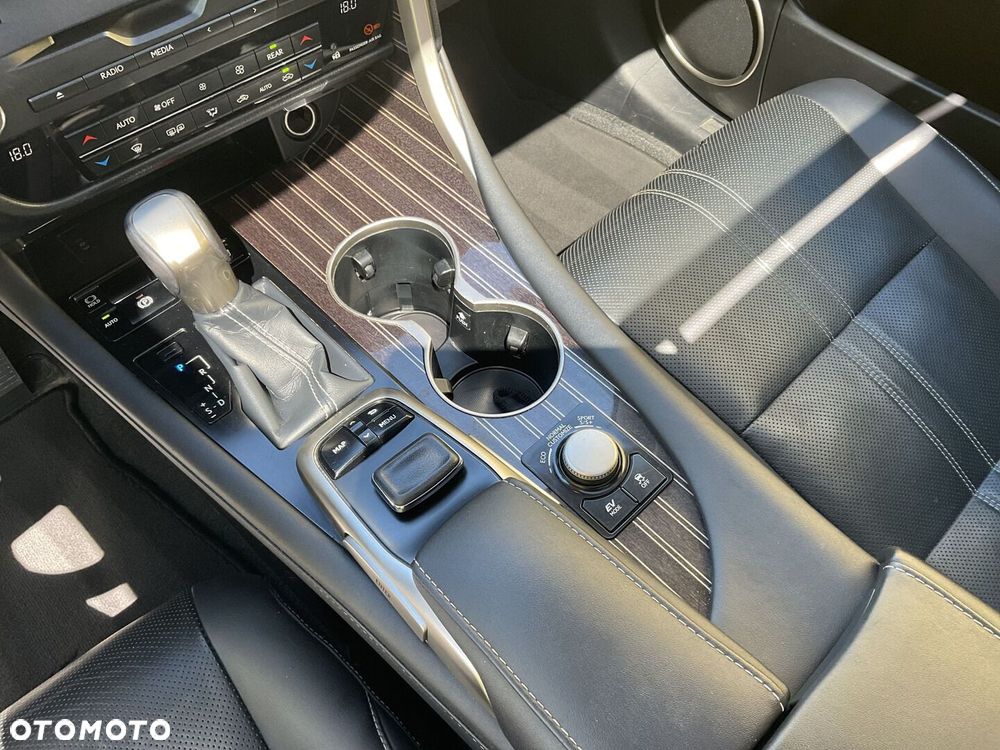Lexus RX - 29