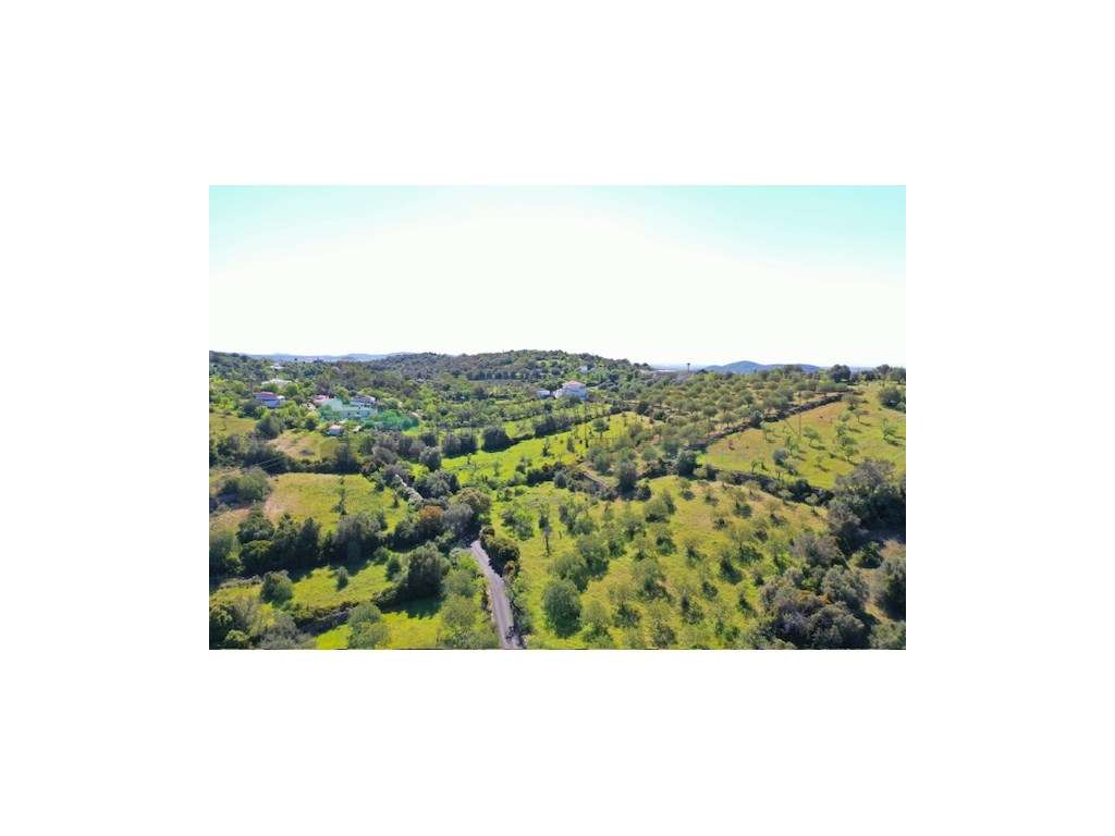 Terreno virado a sul com ruína, situado numa zona tranquila - Grande imagem: 4/11