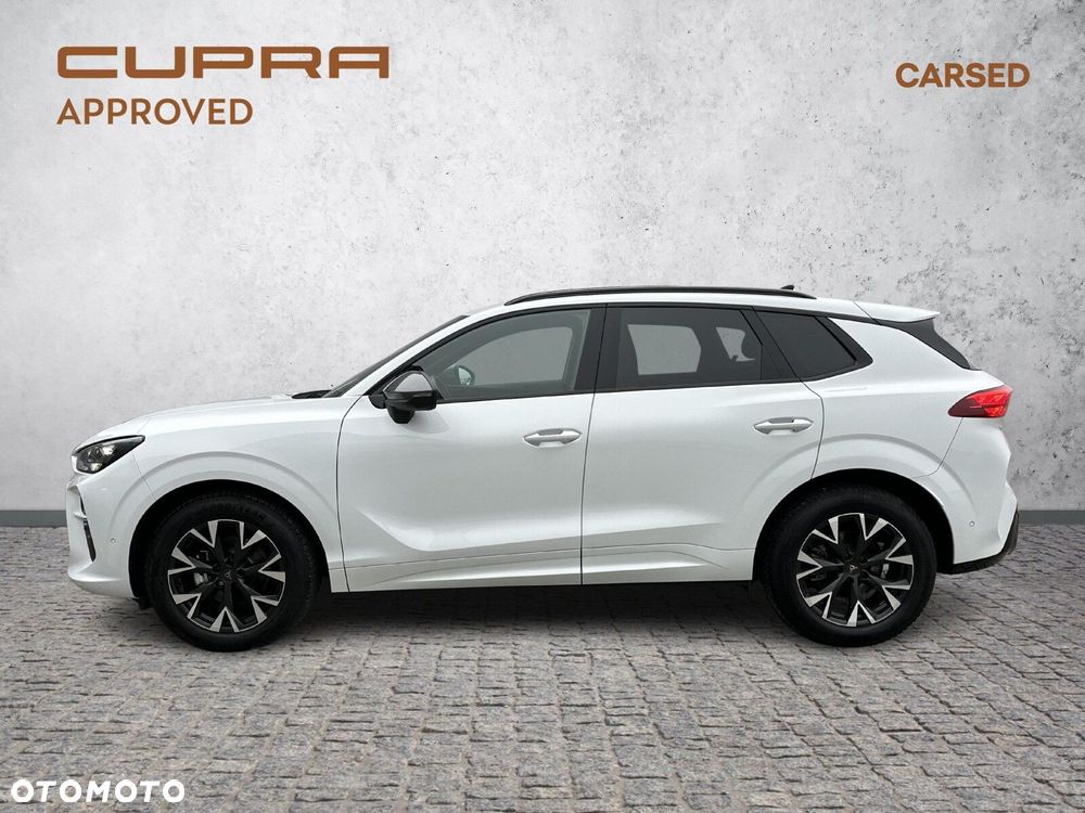 Cupra Terramar - 3