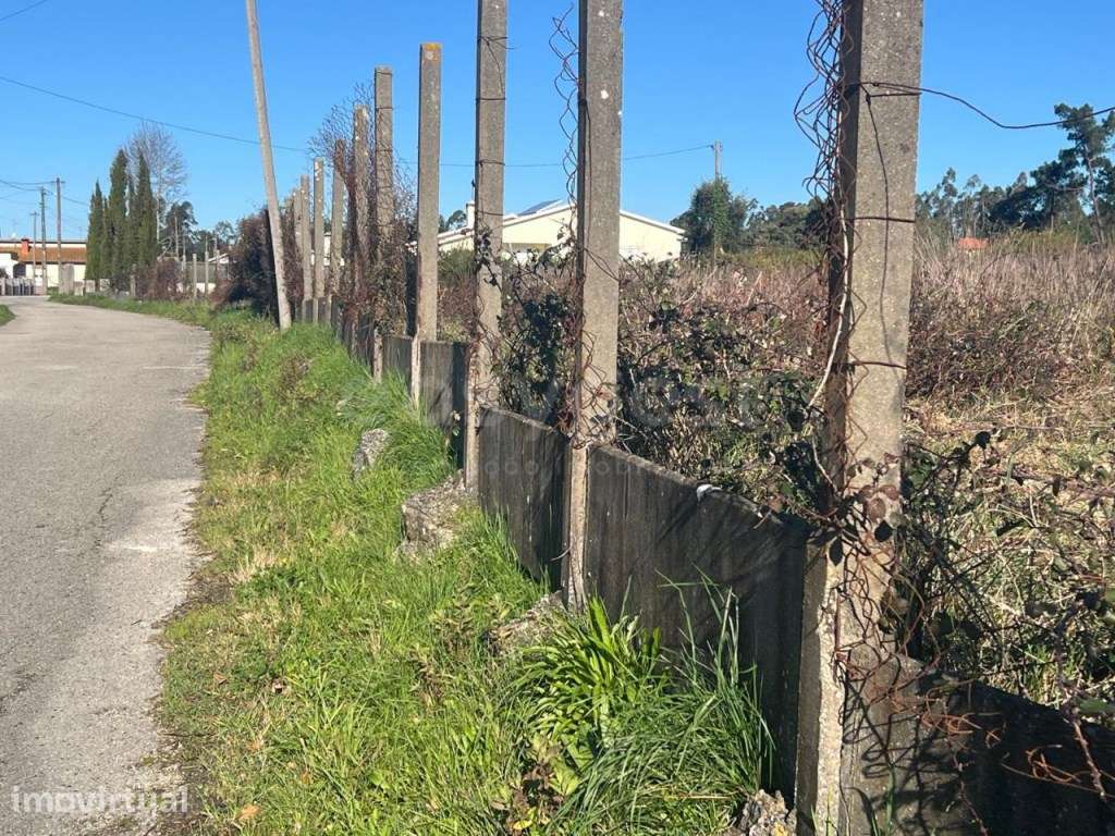Terreno de Construçao em Monte Real - Grande imagem: 3/5