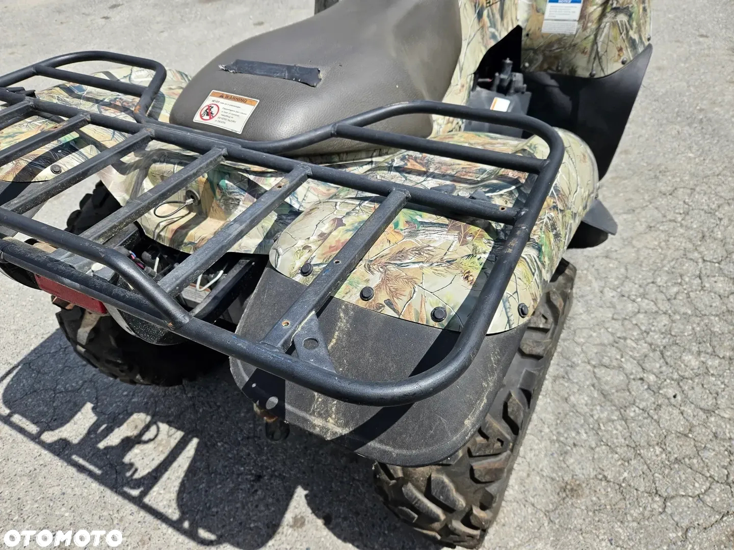 Kawasaki Brute Force - 24