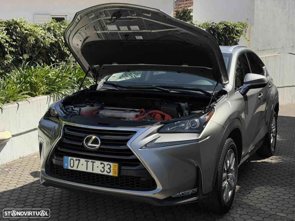 Lexus NX 300h Executive+ - 19