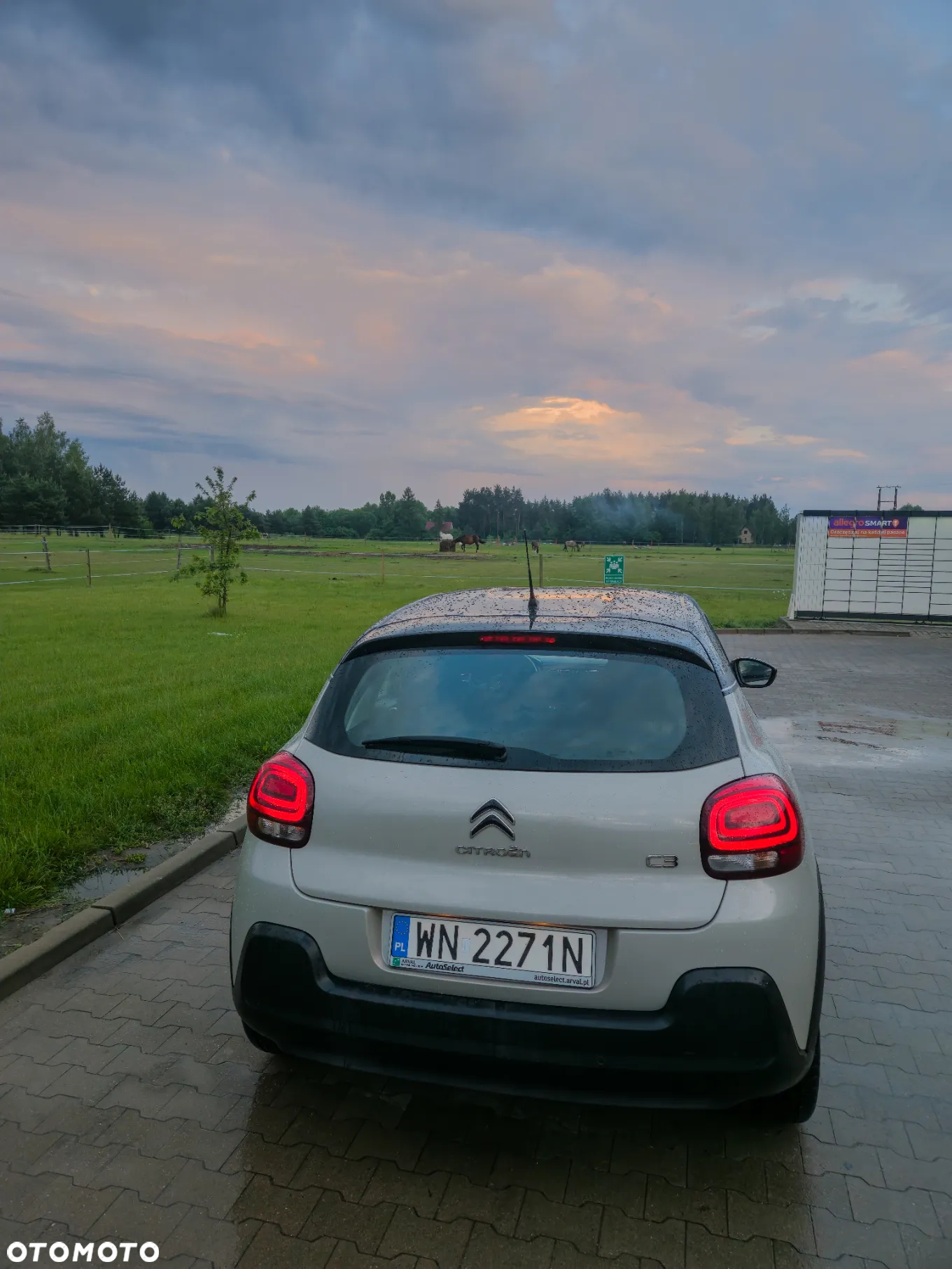 Citroën C3 1.2 PureTech GPF Shine - 2