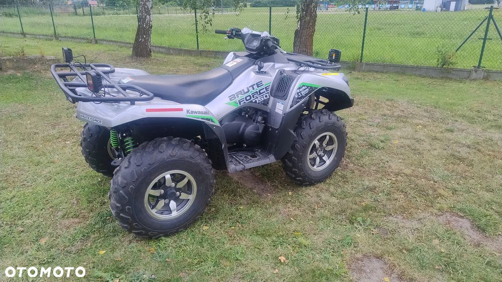 Kawasaki Brute Force - 21