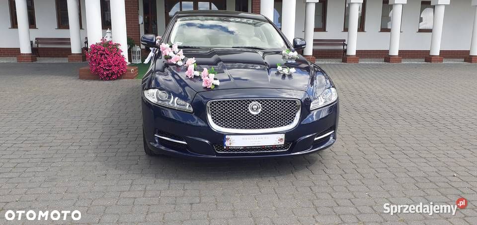 Jaguar XJ 3.0 D V6 Luxury - 5