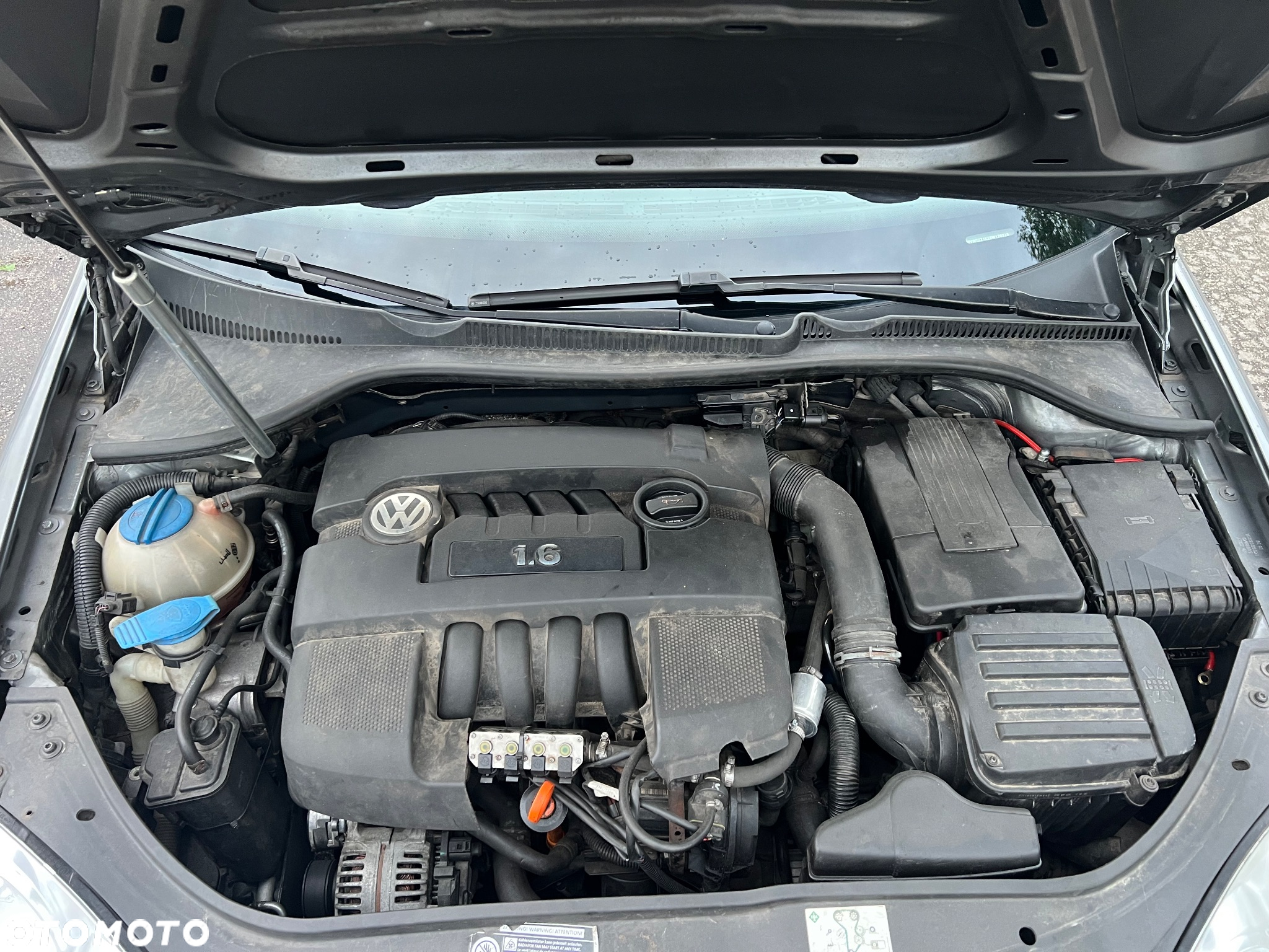 Volkswagen Golf - 12
