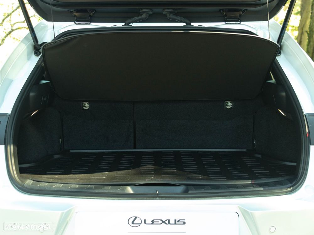 Lexus UX 250h Special Edition (LCA) - 15