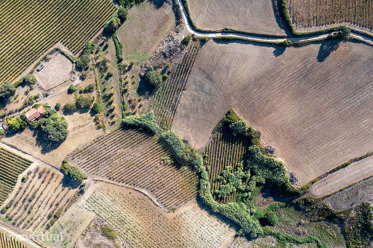 Terreno  para venda