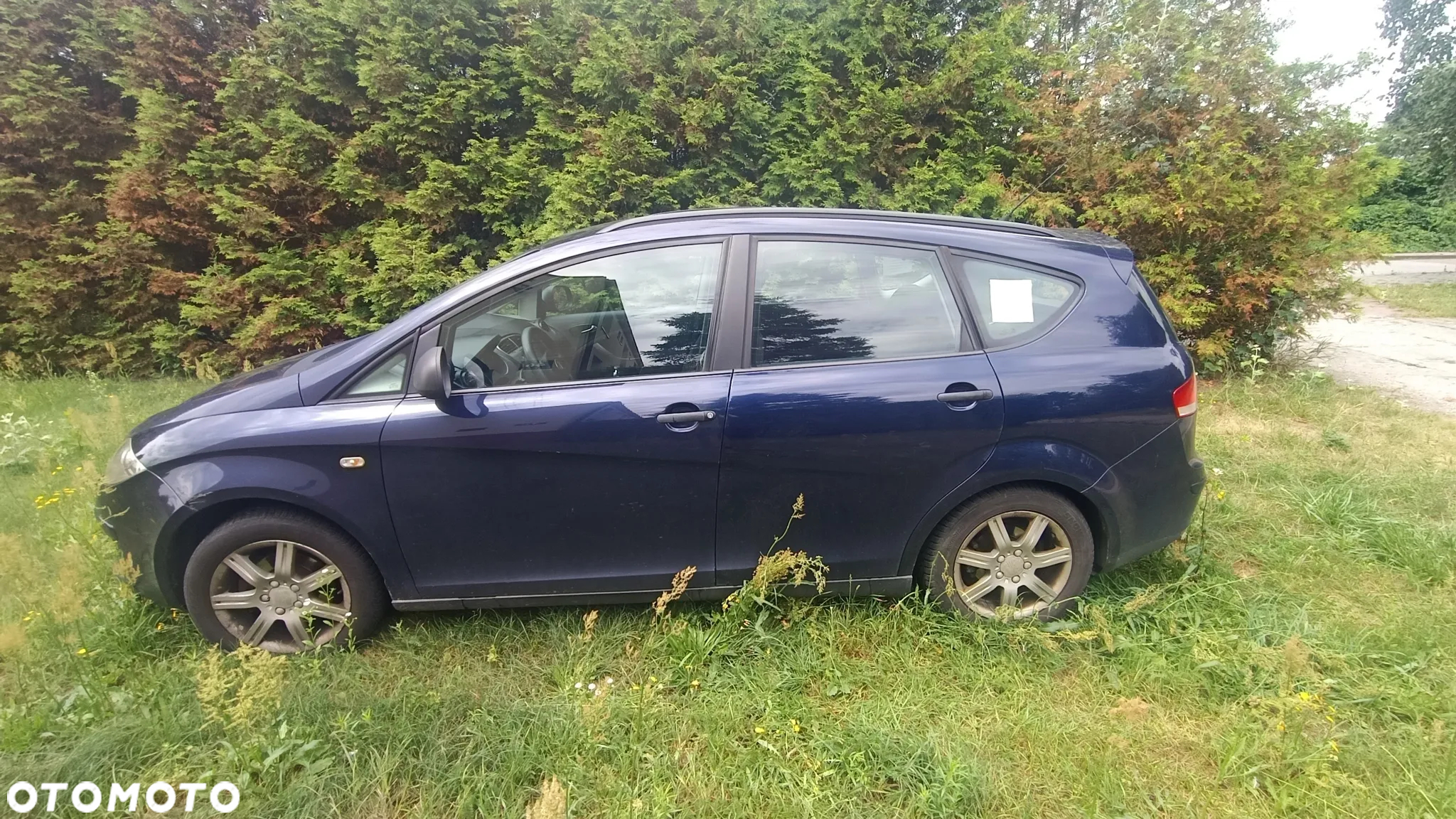 Seat Altea XL 1.6 Audience - 3