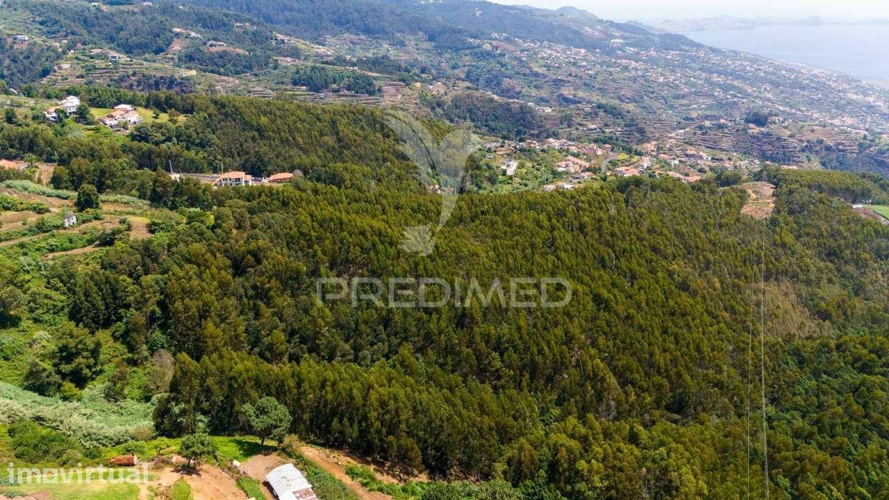 Terreno Rústico - Ideal para Projeto Agrícola - Grande imagem: 4/4