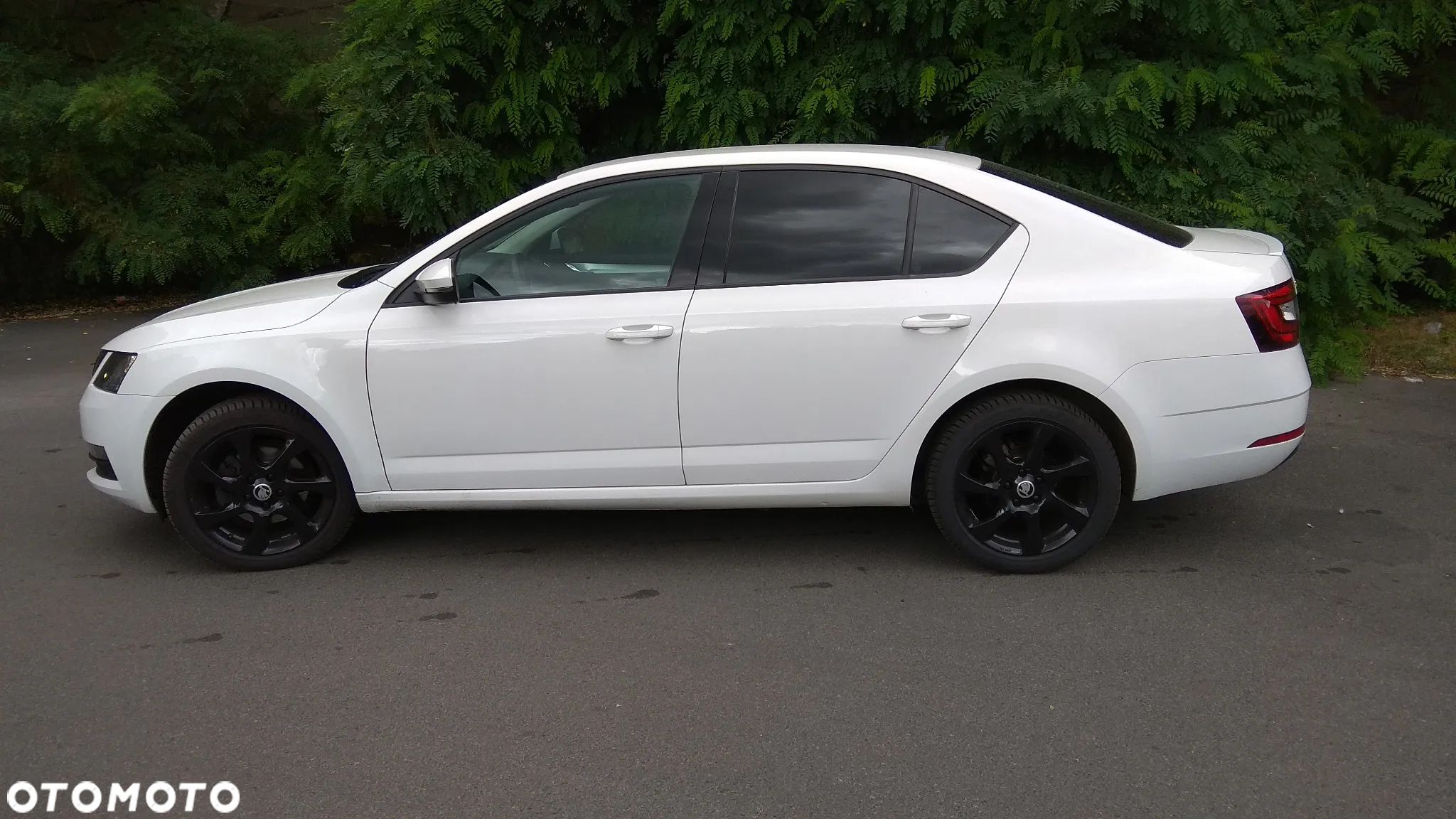 Skoda Octavia 1.5 TSI ACT Ambition - 1