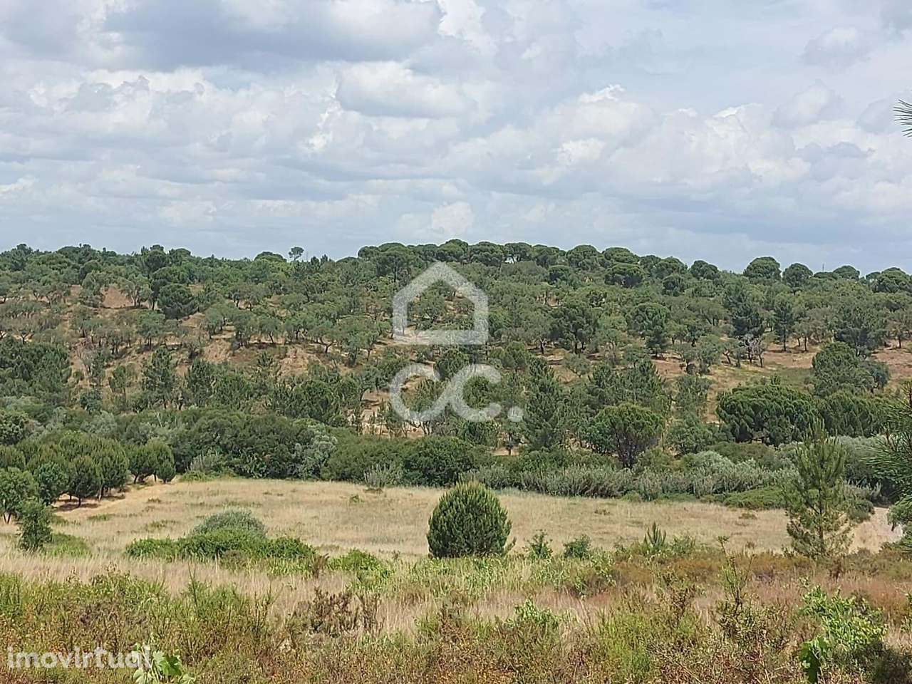 Terreno rústico com cerca de 1,59 hectares | Cabeção (Mora) - Grande imagem: 4/8