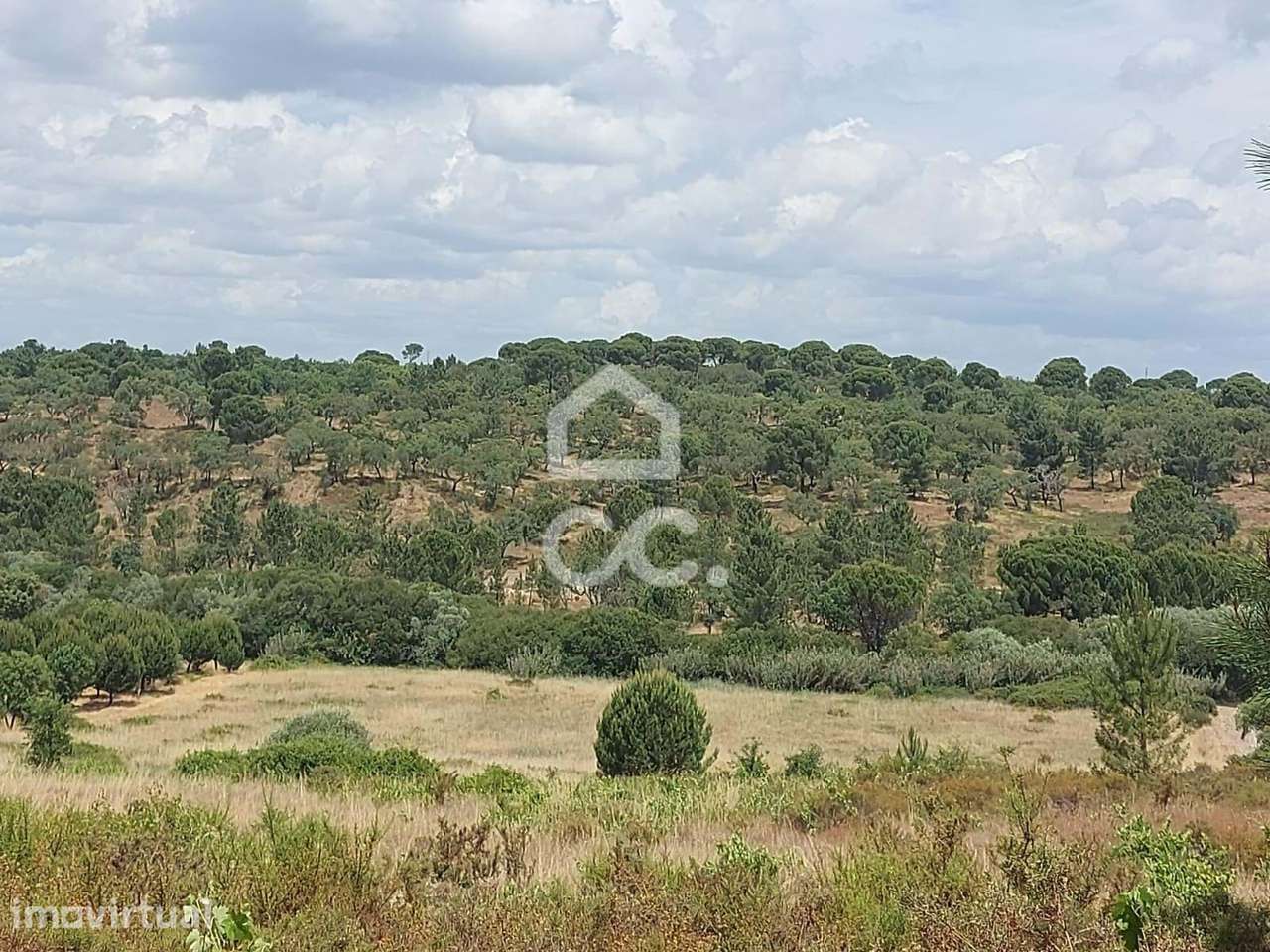 Terreno rústico com cerca de 1,59 hectares | Cabeção (Mora) - Grande imagem: 4/8