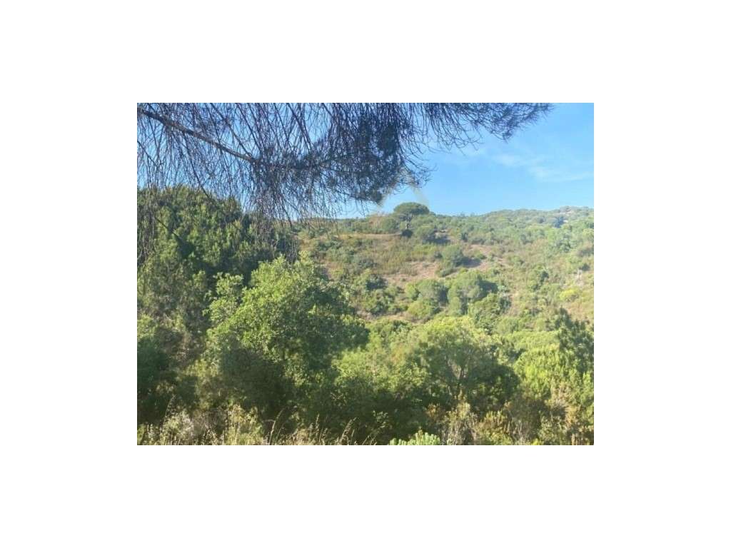 TERRENO Rústico - MELIDES - Grande imagem: 5/16