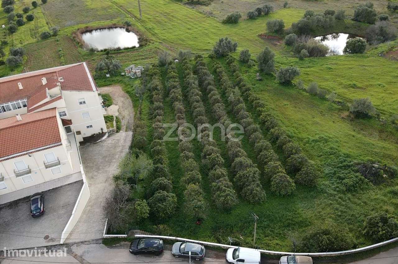 Terreno c/ 3.489m2 em Furadouro, São Bartolomeu de Messines - Grande imagem: 3/16