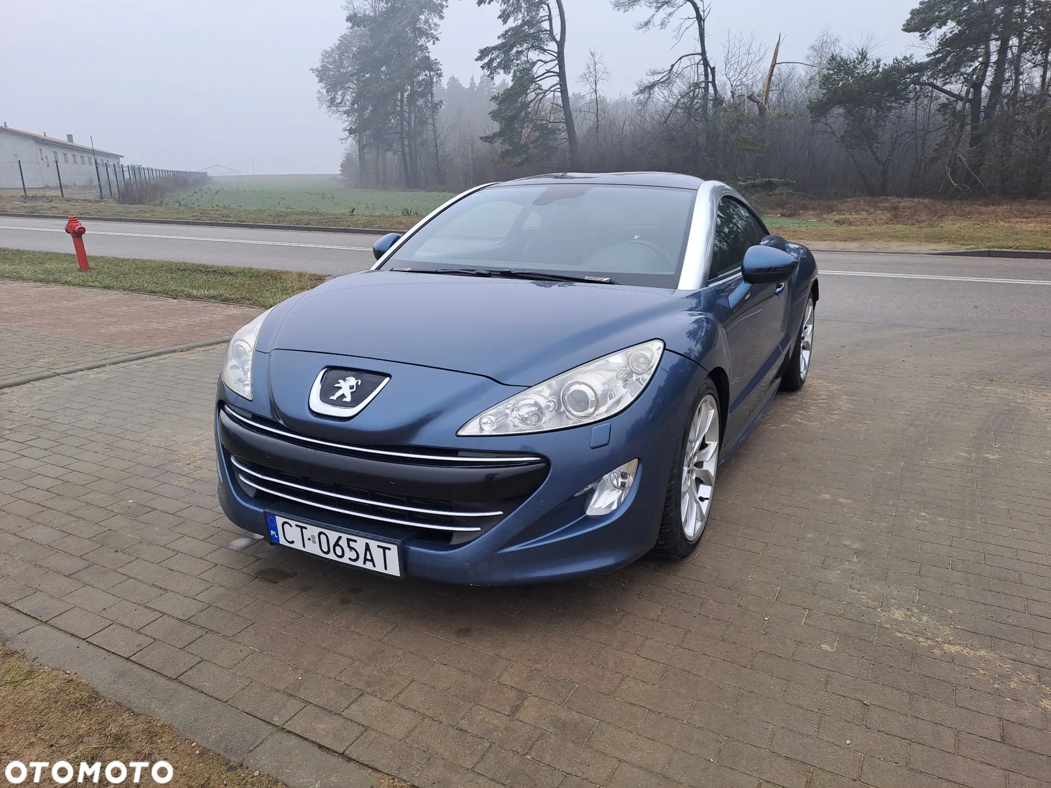 Peugeot RCZ 1.6 THP - 3