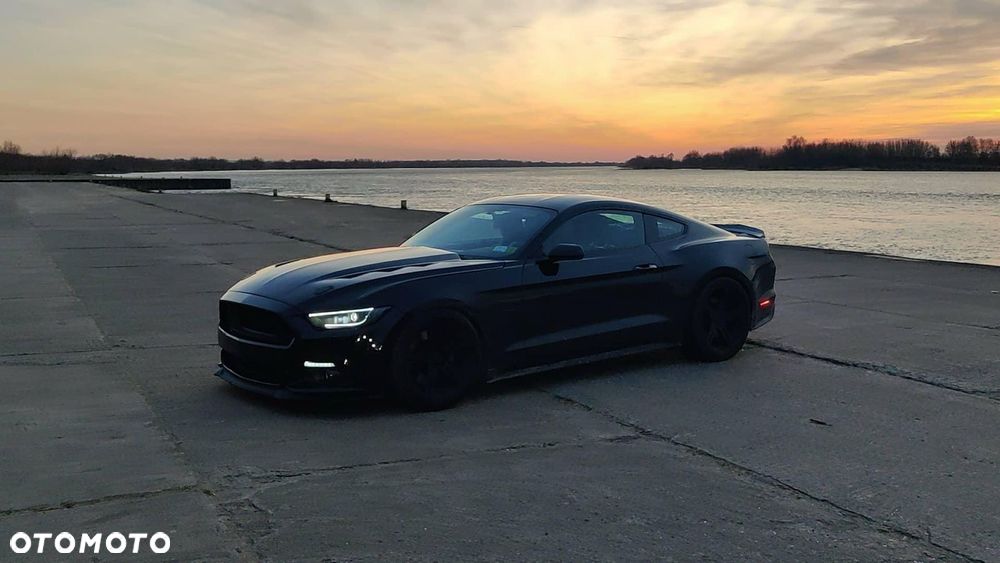 Ford Mustang 5.0 Ti-VCT V8 Black Shadow Edition - 11