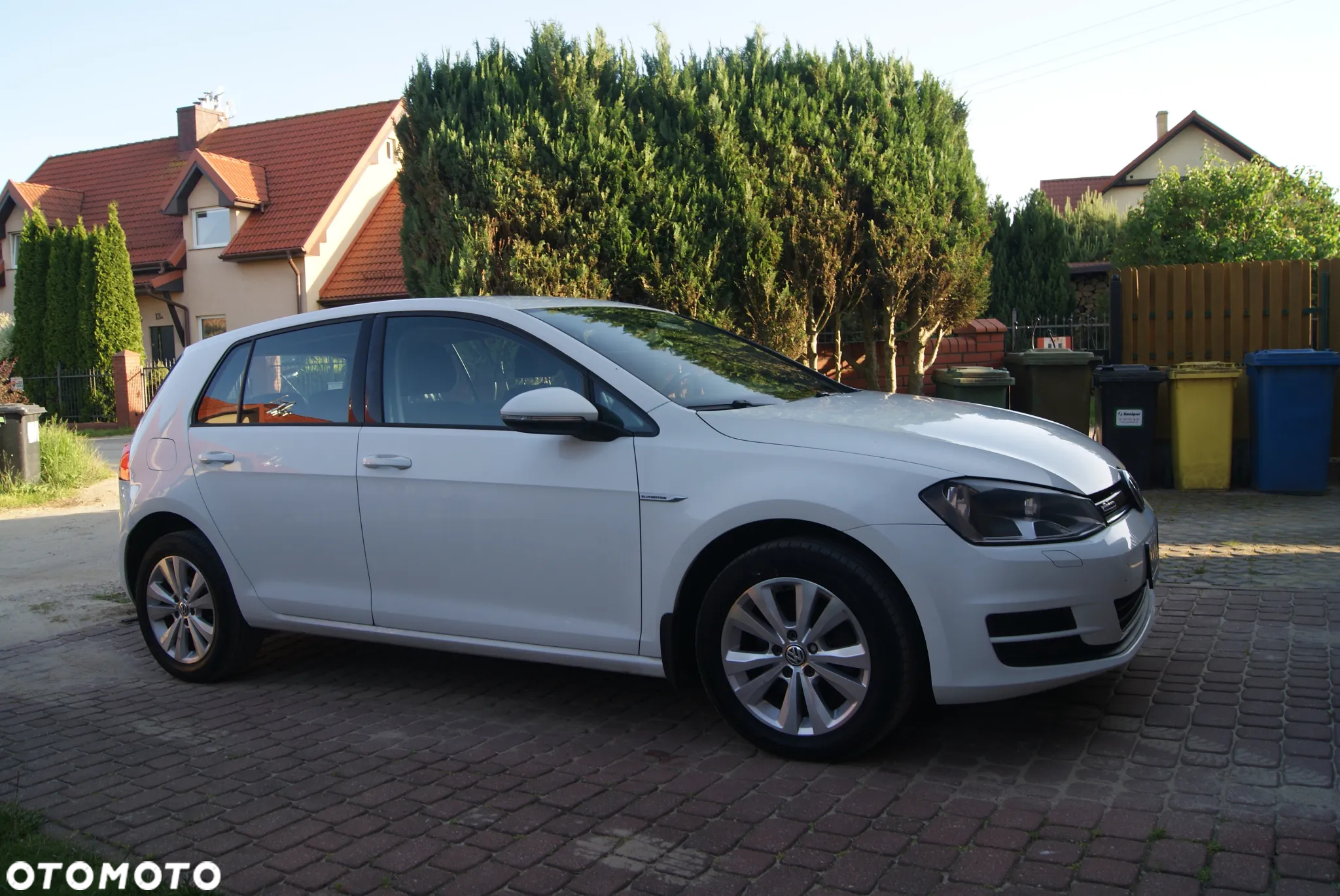 Volkswagen Golf - 25