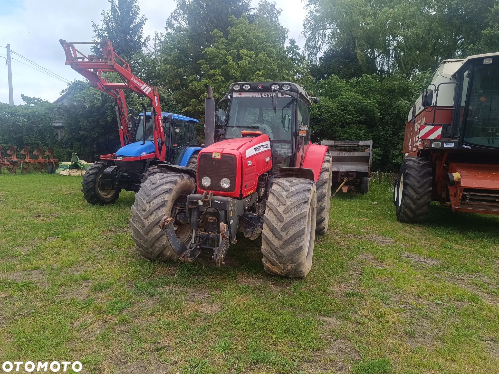 Massey Ferguson 6480 - 1