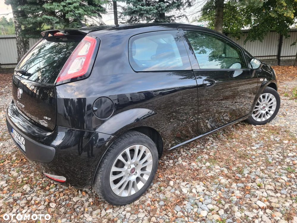 Fiat Punto - 3