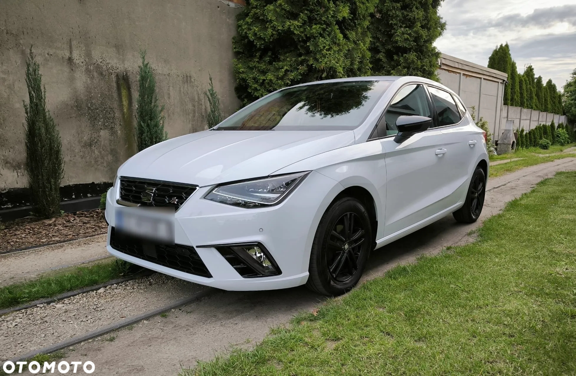 Seat Ibiza 1.0 EcoTSI S&S FR - 8