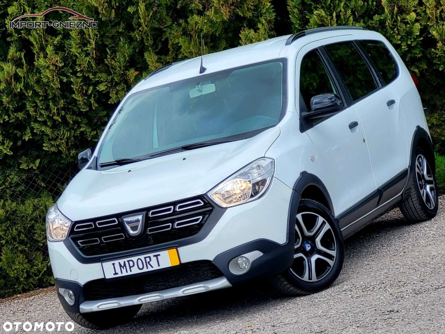 Dacia Lodgy - 28