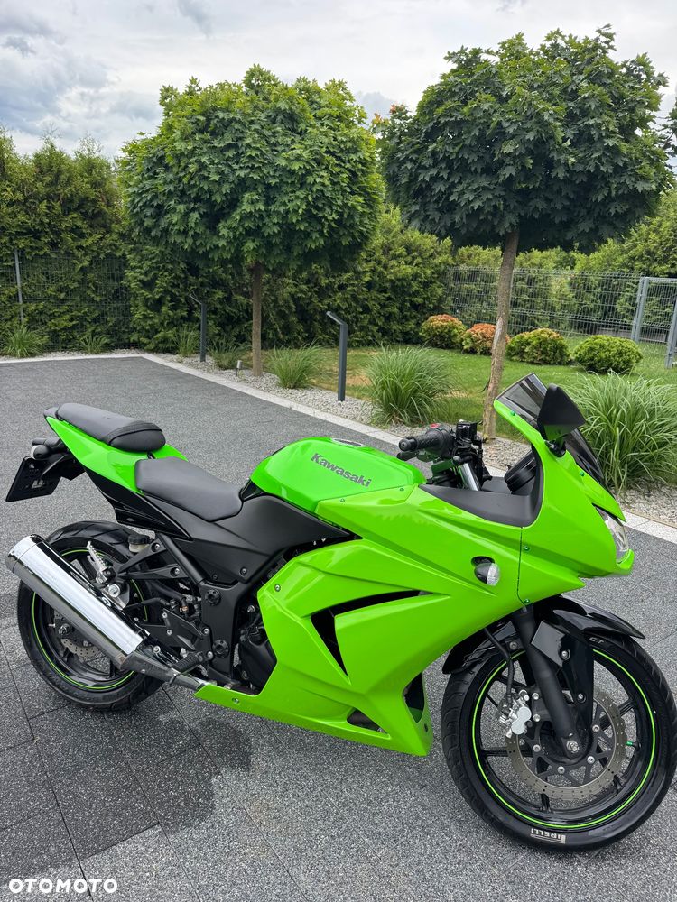 Kawasaki Ninja 250R - 1