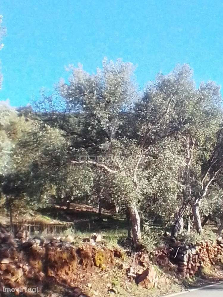 Terreno Rustico em S. Julião - Grande imagem: 2/4