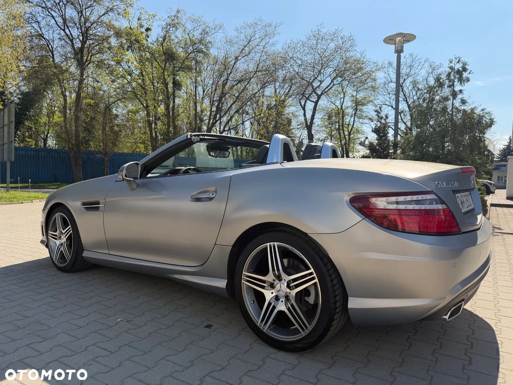 Mercedes-Benz SLK 250 BlueEFFICIENCY 7G-TRONIC Edition 1 - 8
