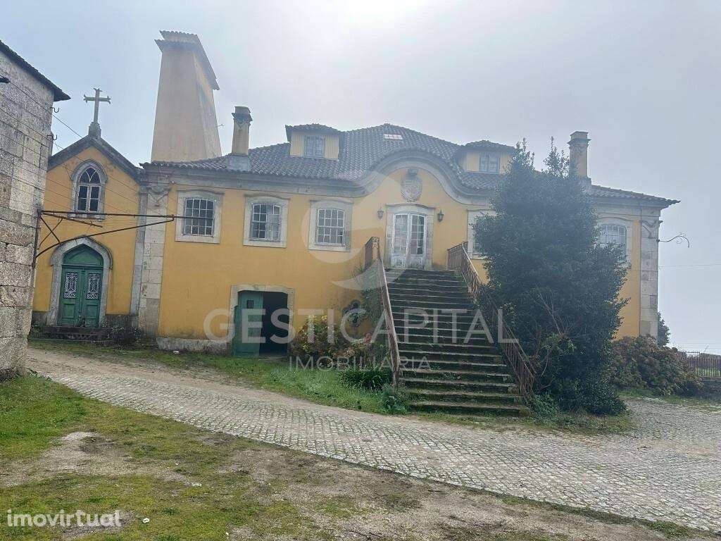 Casa de Quintã – Solar brasonado histórico com vinha em Marco de Canav - Grande imagem: 2/19