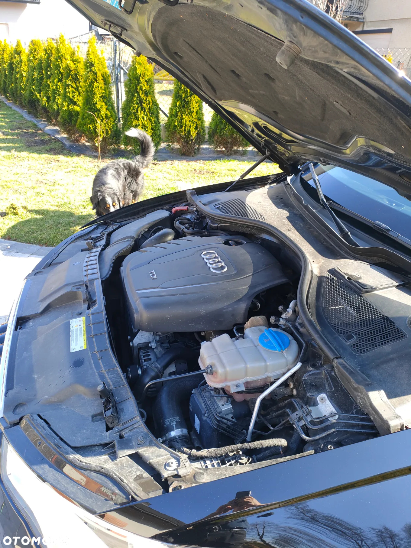 Audi A6 2.0 TDI - 9