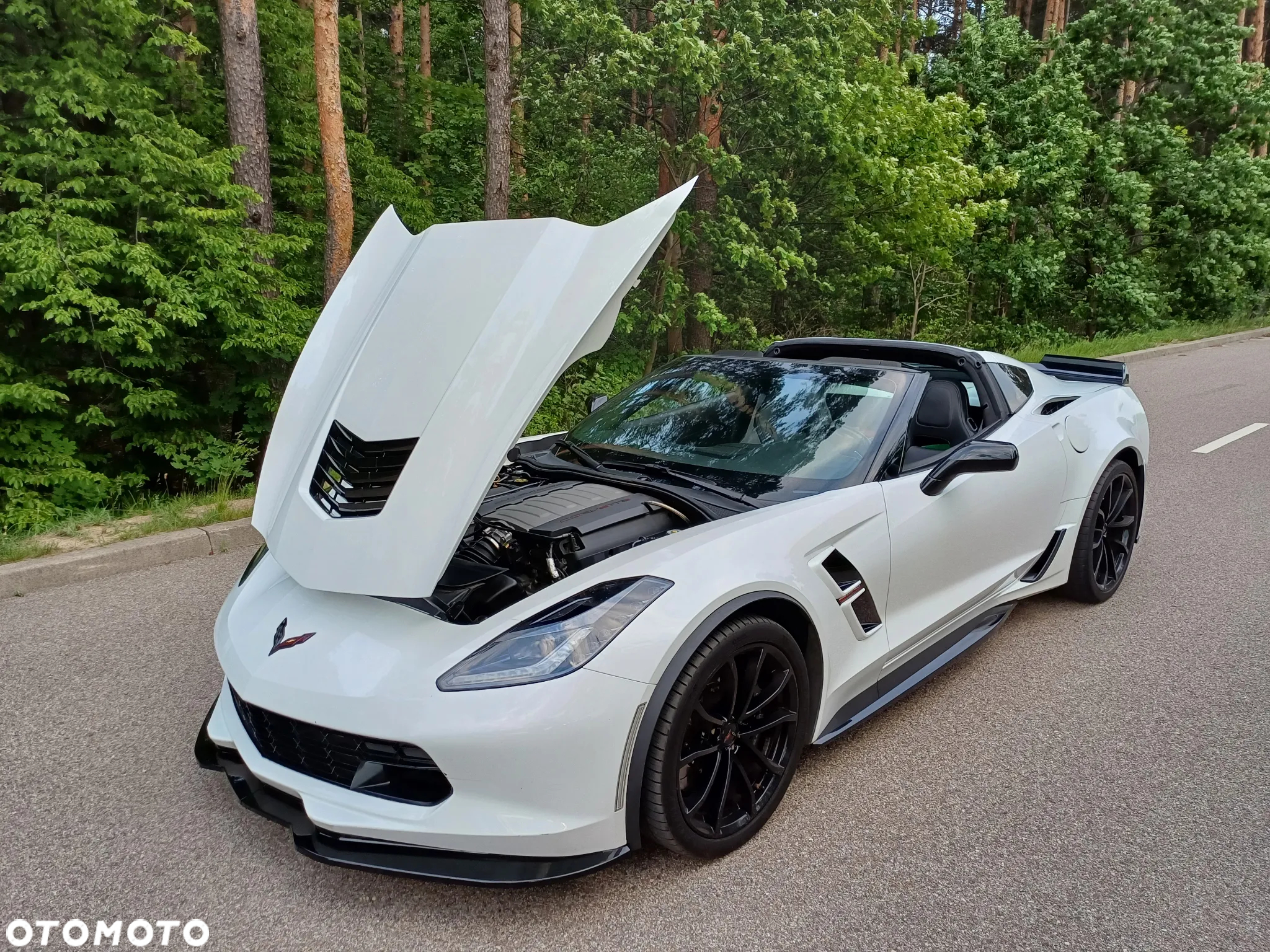 Chevrolet Corvette - 22