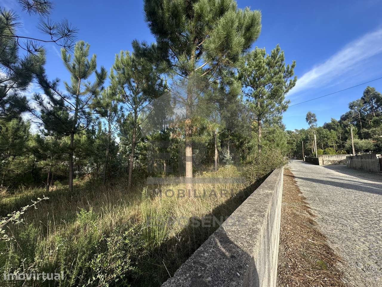 Terreno construção c/ 4.002 m² – Alvelos/ Barcelos - Grande imagem: 2/9