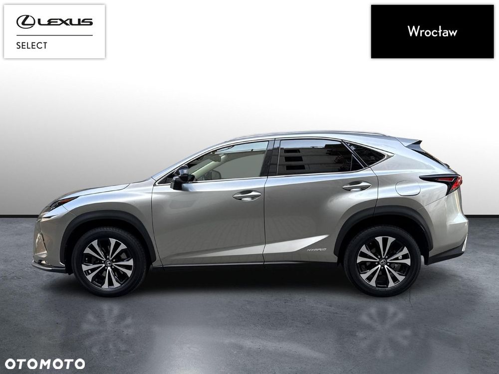 Lexus NX 300h F Impression AWD - 2