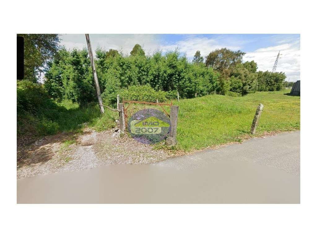 Terreno Rustico com 2.100m2 - São Paio de Oleiros - Grande imagem: 3/19