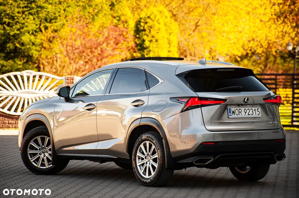 Lexus NX 300 AWD - 12