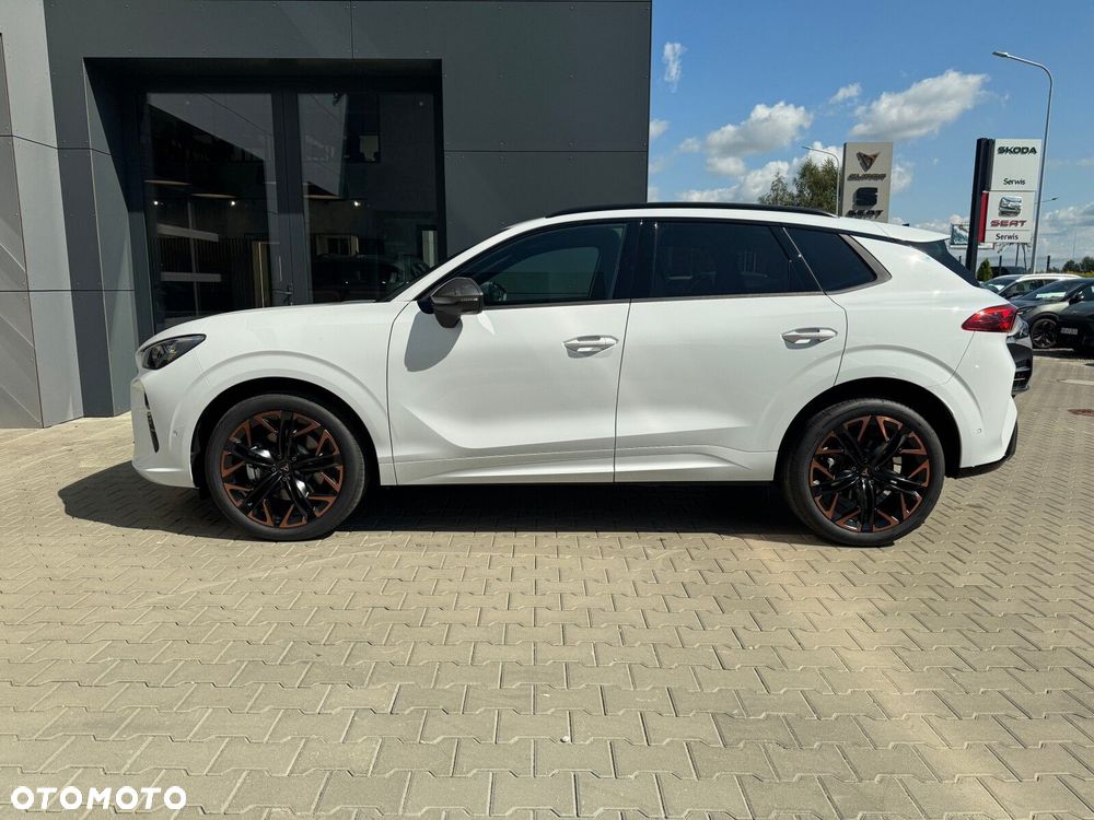 Cupra Terramar - 15