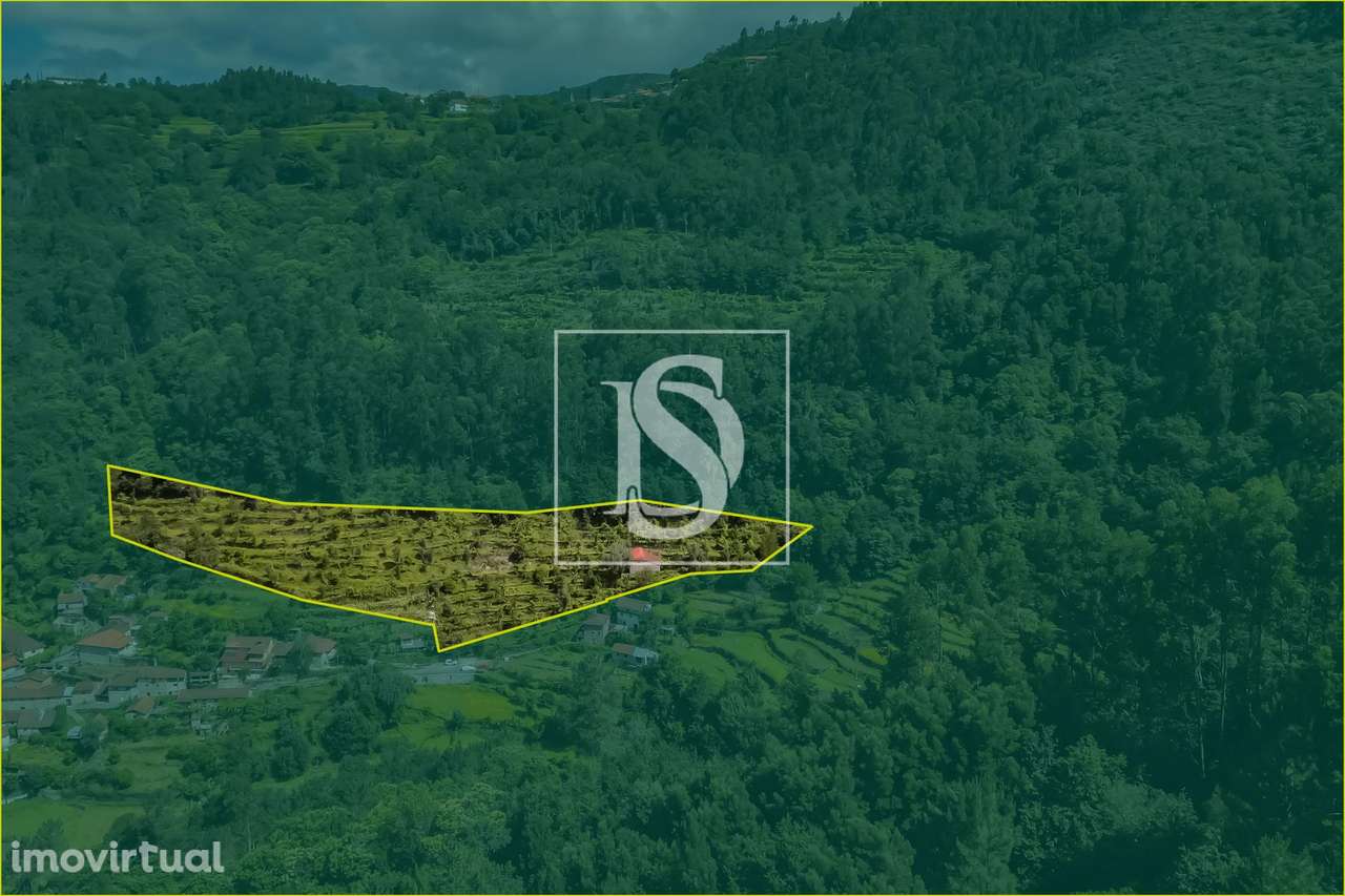 Moradia para Restaurar T2 Venda em Carvalheira,Terras de Bouro - Grande imagem: 3/26