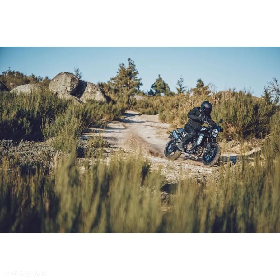 Husqvarna Svartpilen - 21