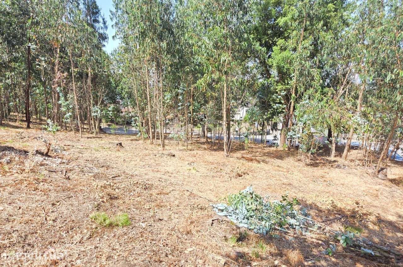 Terreno para construção em Airó - Barcelos - Grande imagem: 4/15
