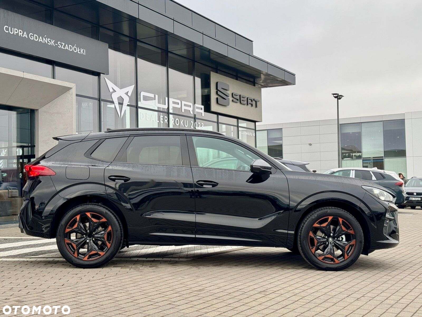 Cupra Terramar 2.0 TSI 4Drive DSG - 7