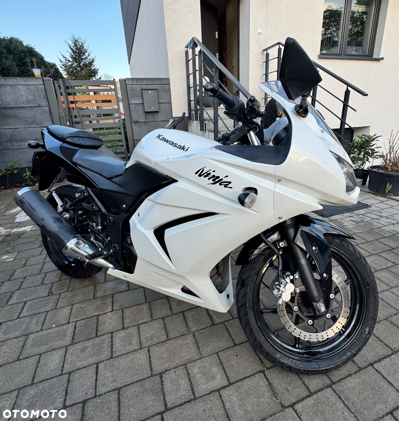 Kawasaki Ninja 250R - 2